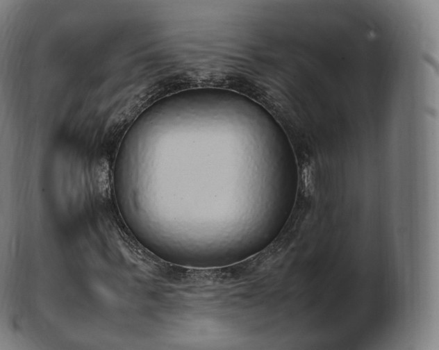 X0000103330963200809121206