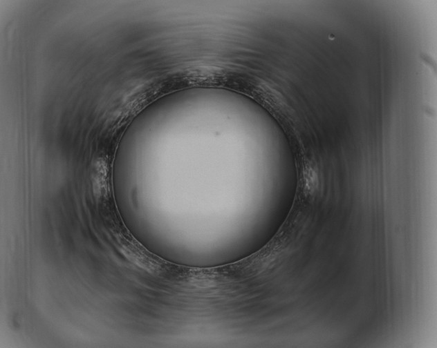 X0000103330964200809121206