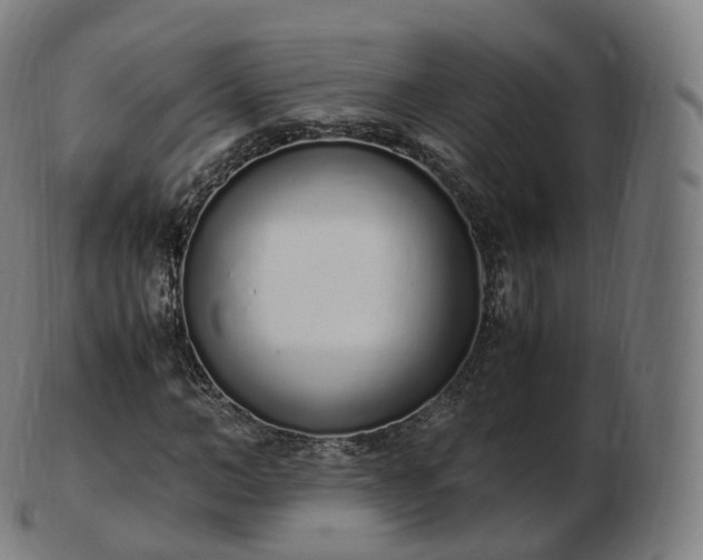 X0000103330966200809121206