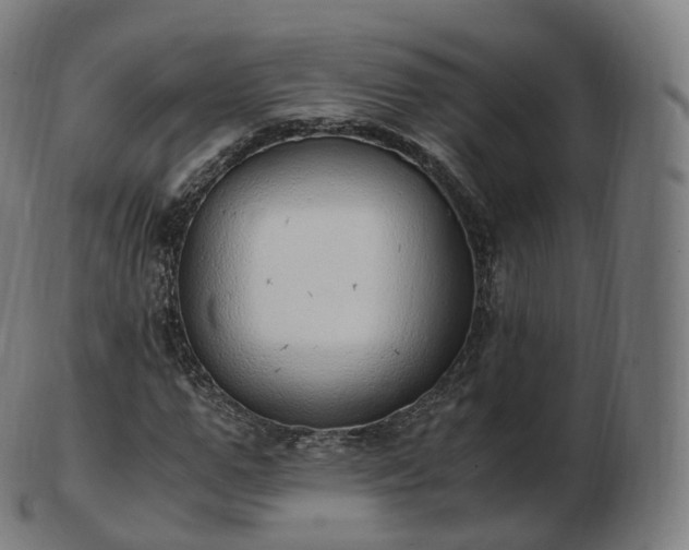 X0000103330967200809121206