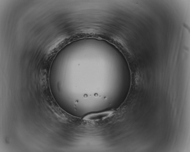 X0000103330968200809121206