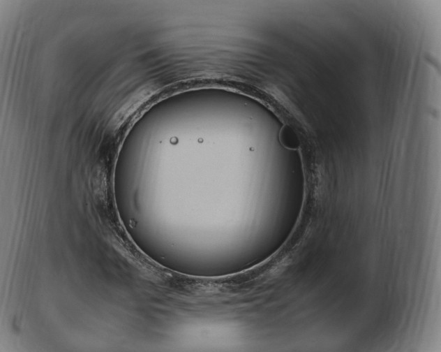 X0000103330969200809121206