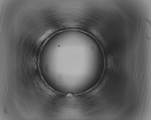 X0000103330970200809121206