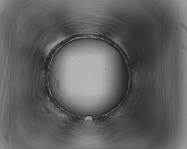 X0000103330971200809121206