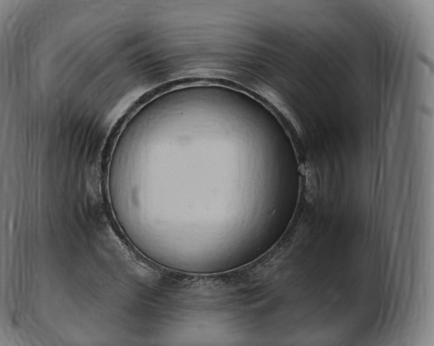 X0000103330972200809121206