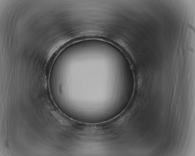 X0000103330973200809121206