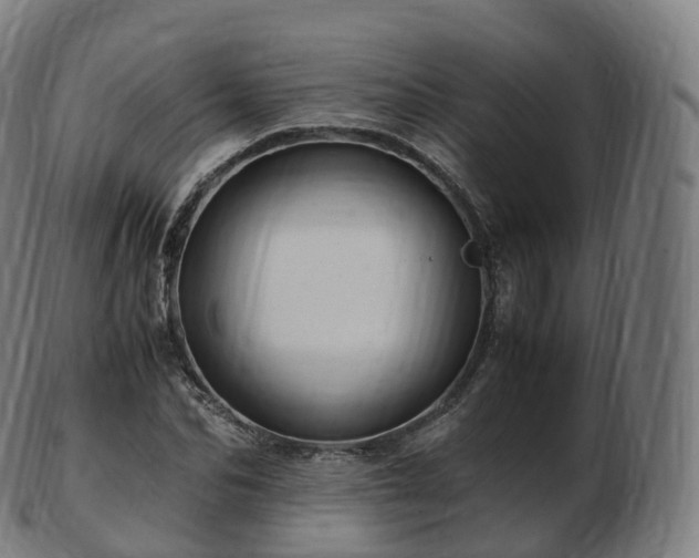 X0000103330974200809121206