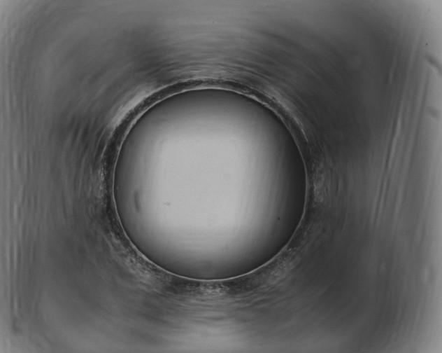 X0000103330975200809121206