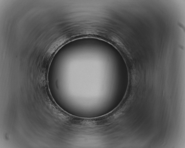 X0000103330977200809121206