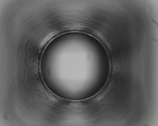 X0000103330978200809121206