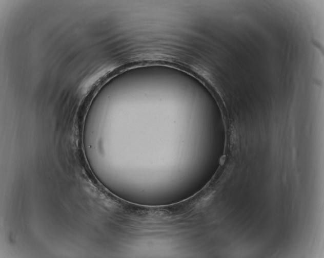 X0000103330979200809121206