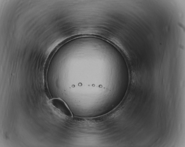 X0000103330980200809121206