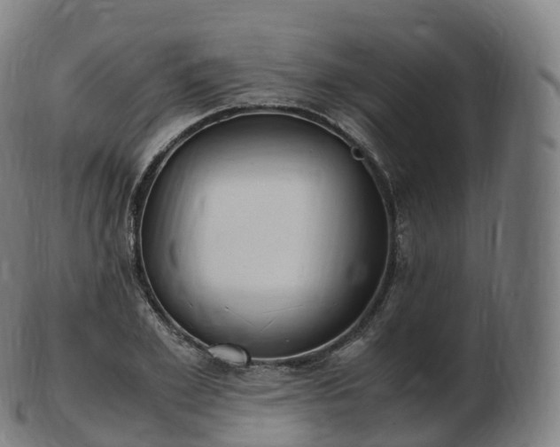 X0000103330981200809121206