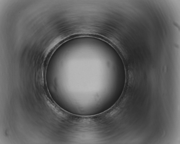 X0000103330982200809121206