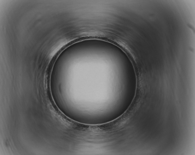 X0000103330983200809121206