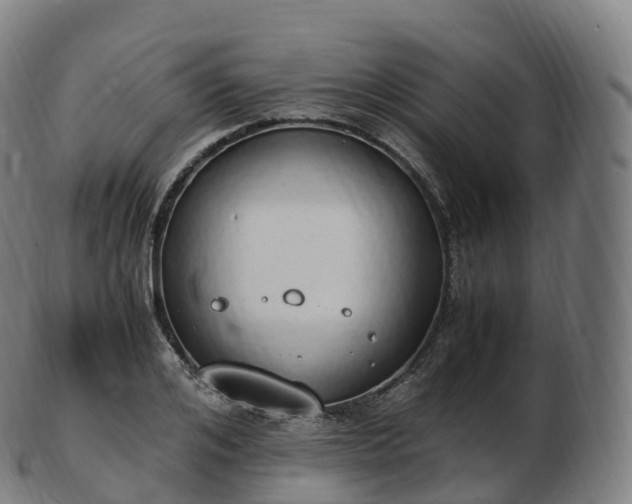 X0000103330984200809121206