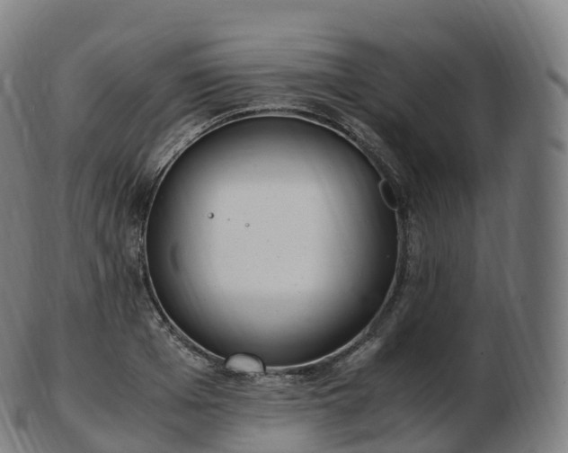 X0000103330985200809121206