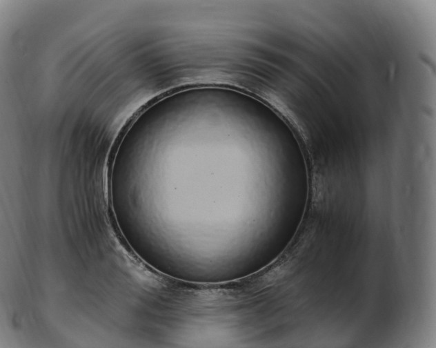 X0000103330988200809121206