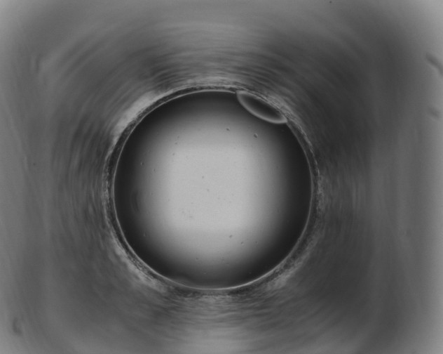 X0000103330989200809121206