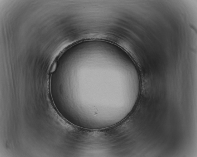 X0000103330992200809121206