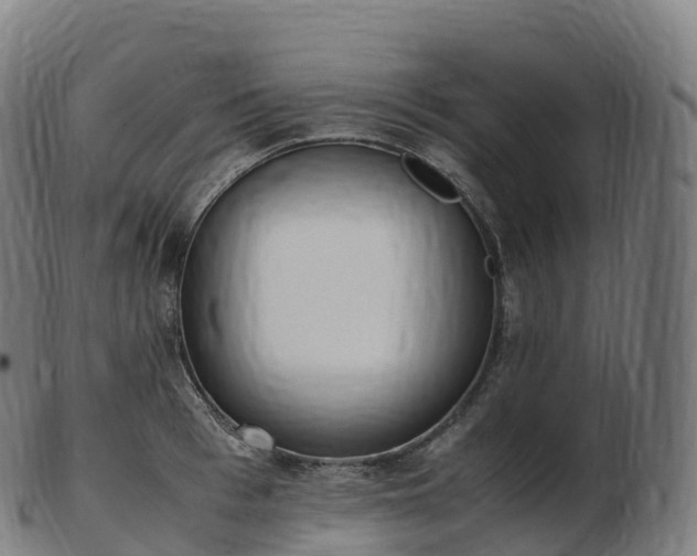 X0000103330993200809121206