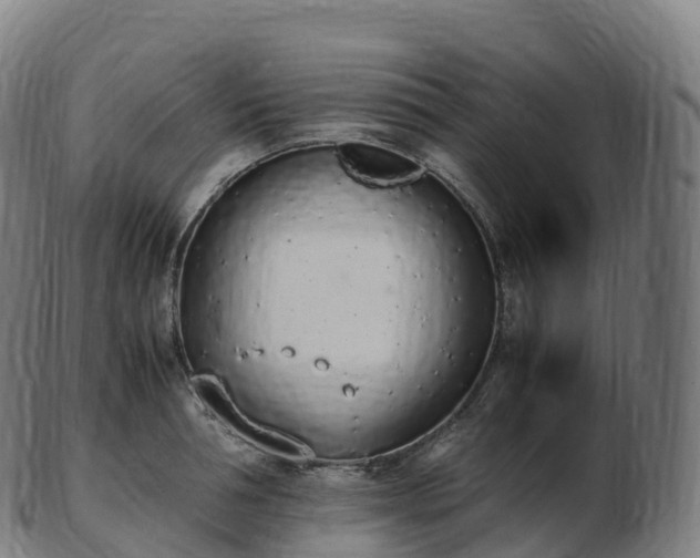 X0000103330994200809121206