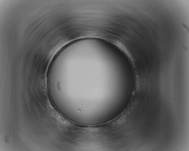 X0000103330996200809121206