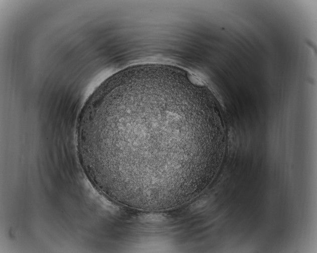 X0000103330998200809121206