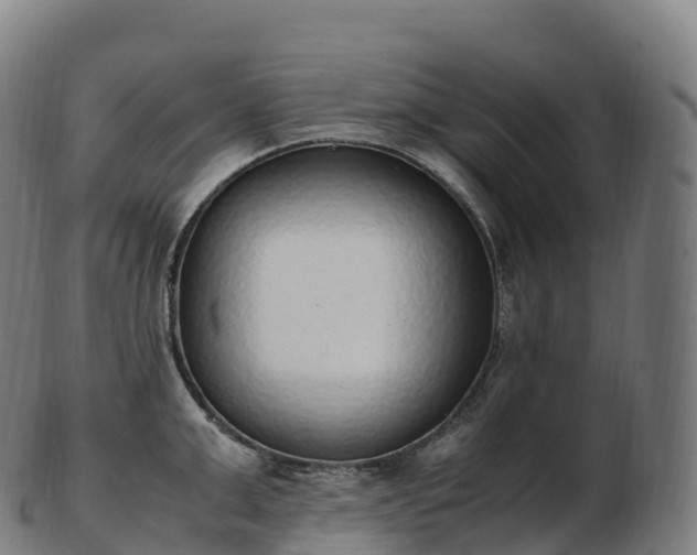 X0000103330999200809121206