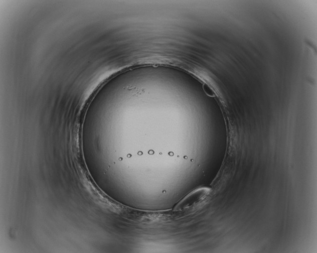 X0000103331000200809121206