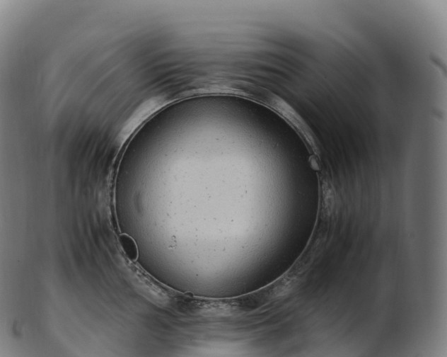 X0000103331002200809121206