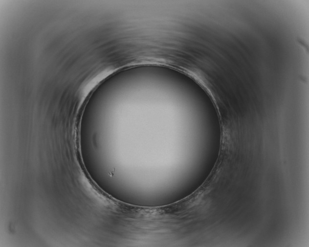 X0000103331003200809121206