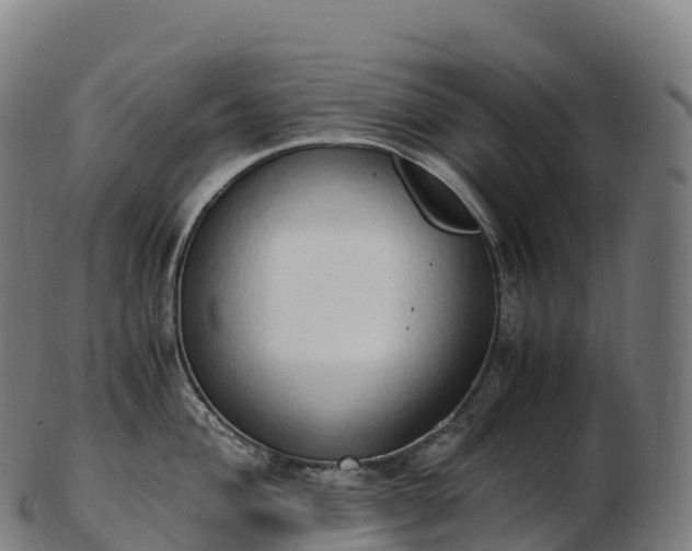 X0000103331004200809121206