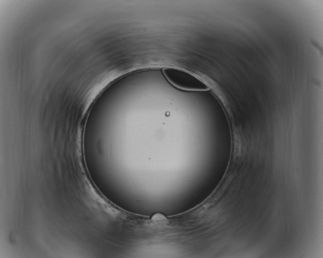 X0000103331006200809121206