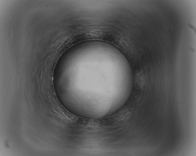 X0000103331009200809121205