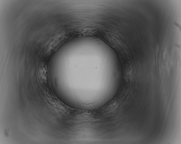 X0000103331010200809121205