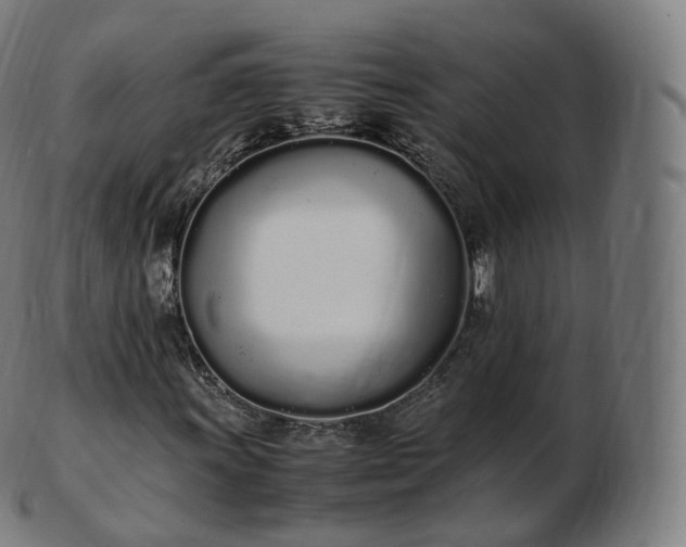 X0000103331011200809121205