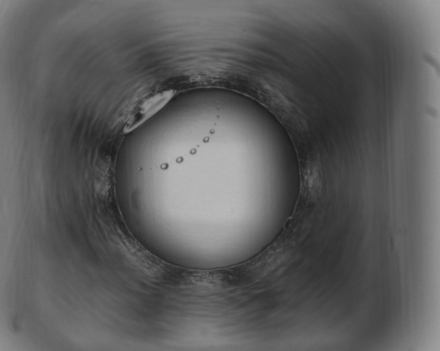 X0000103331012200809121205