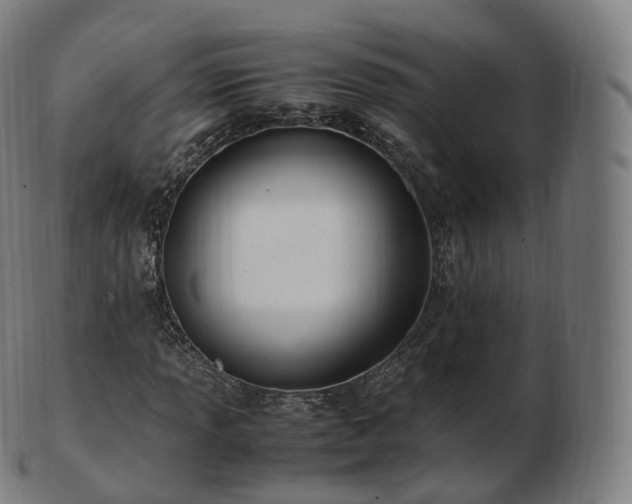 X0000103331013200809121205