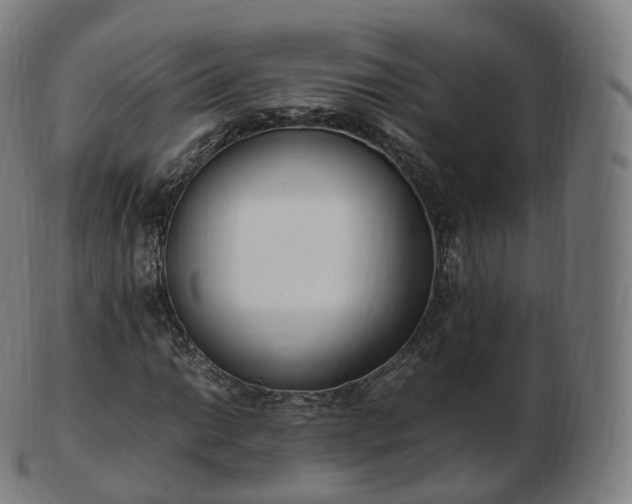 X0000103331014200809121205