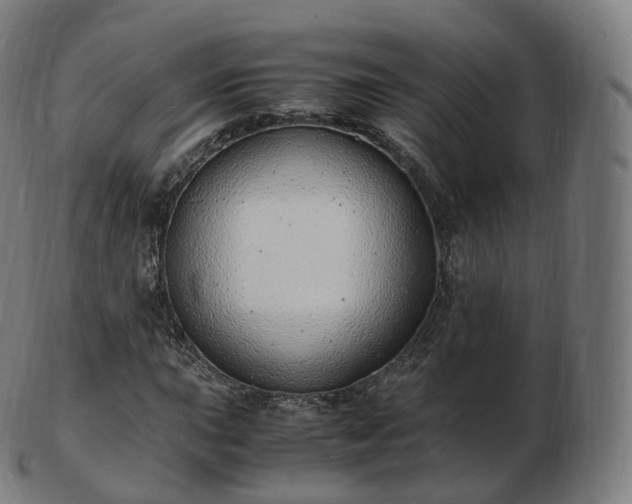 X0000103331015200809121205