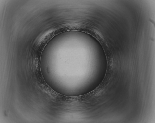 X0000103331016200809121205