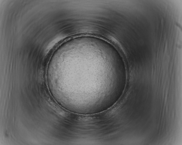 X0000103331019200809121205