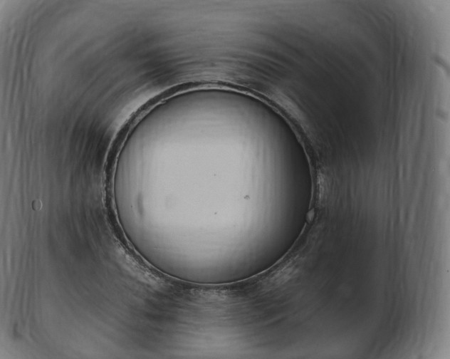 X0000103331020200809121205