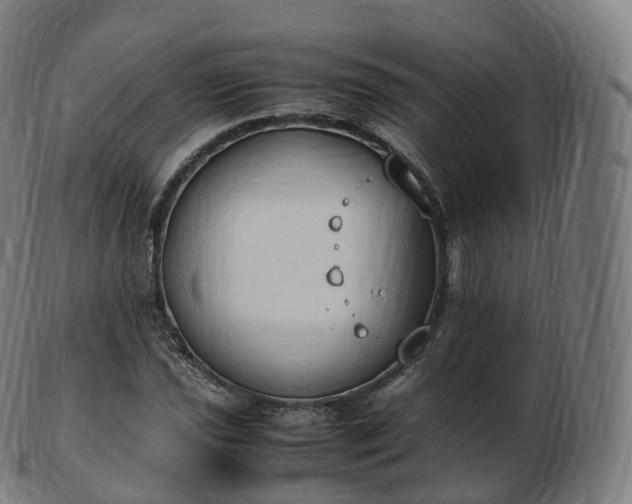 X0000103331021200809121205