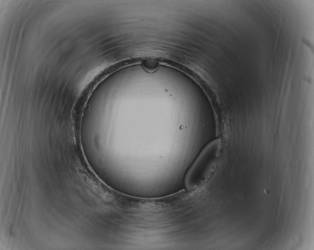 X0000103331022200809121205