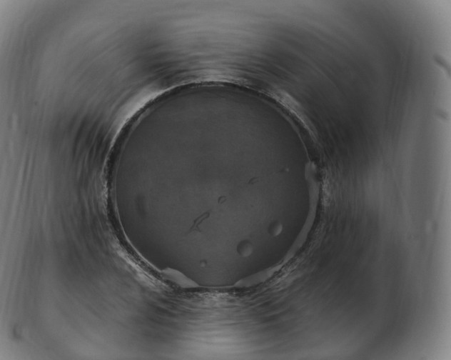 X0000103331024200809121205