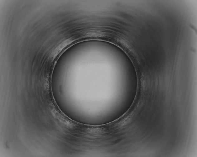 X0000103331025200809121205