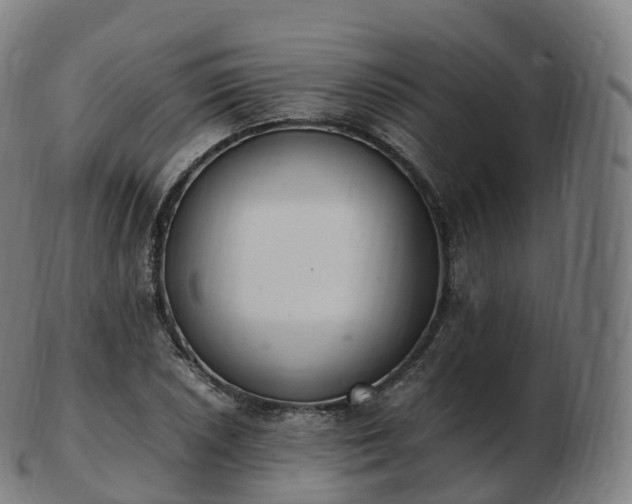 X0000103331026200809121205