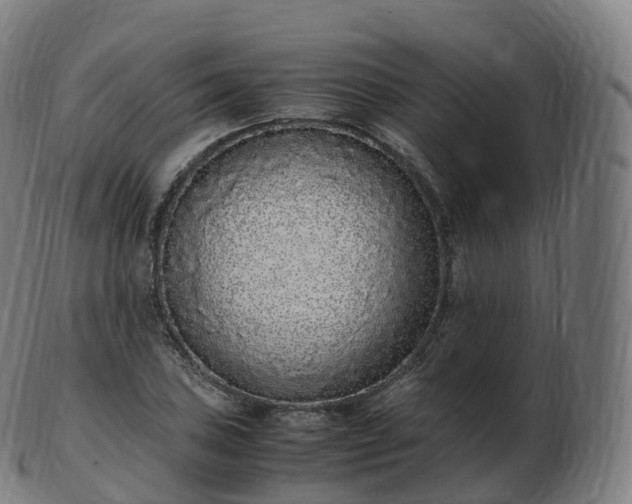 X0000103331027200809121205